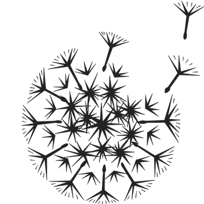 Wilder Botanics logo